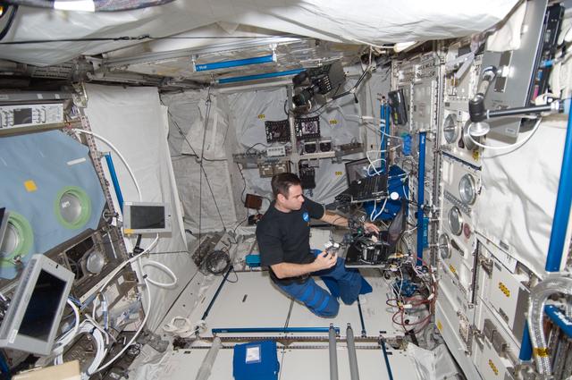 NASA image: Chamitoff works with 3-D Space Experiment Hardware in the European Laboratory during Expedition 17