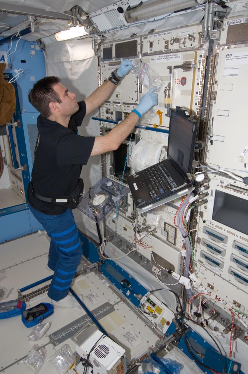 ISS017-E-011973 (30 July 2008) --- NASA astronaut Greg Chamitoff, Expedition 17 flight engineer, works with an experiment in the Kibo laboratory of the International Space Station.