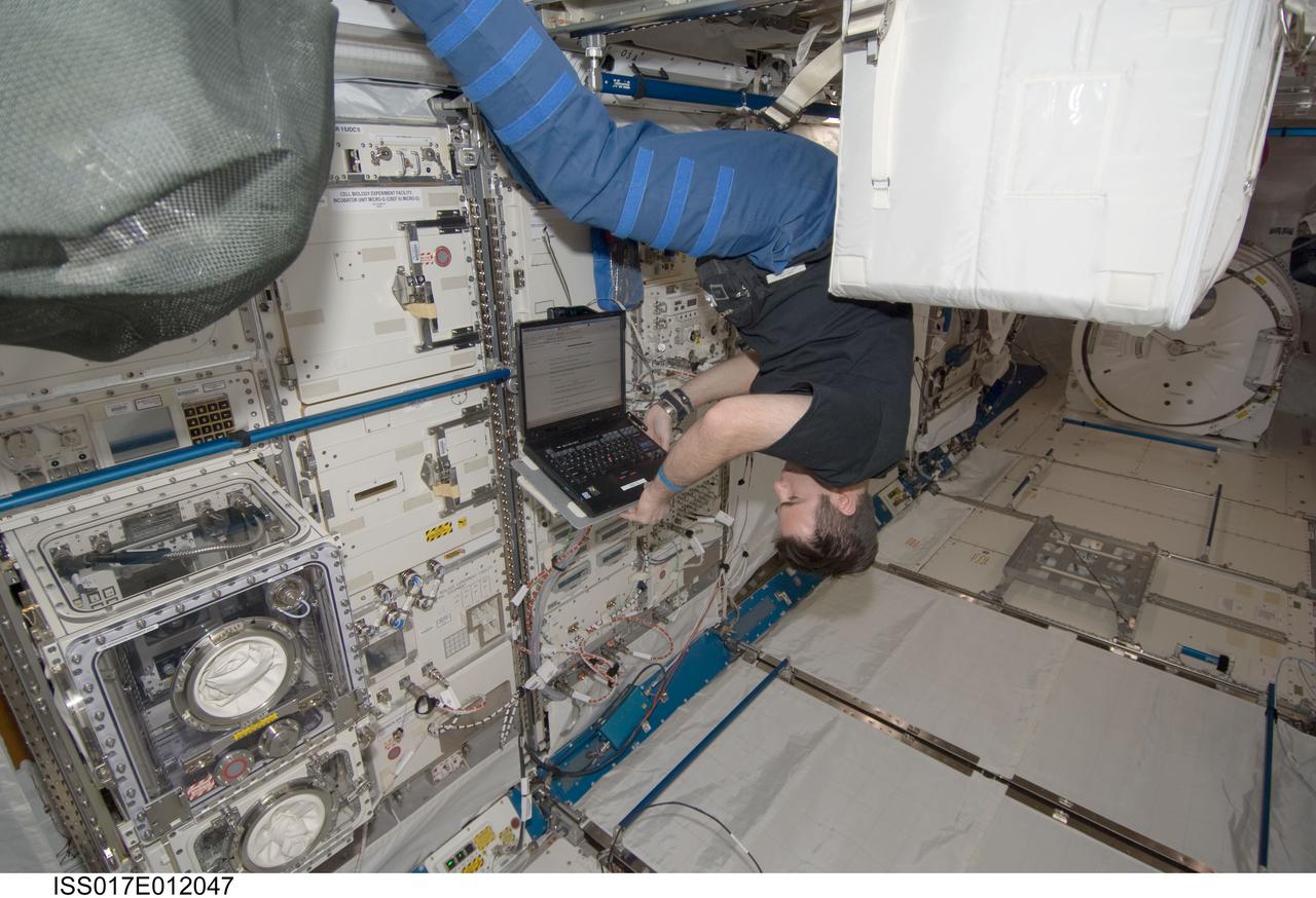 ISS017-E-012047 (30 July 2008) --- NASA astronaut Greg Chamitoff, Expedition 17 flight engineer, works with an experiment in the Kibo laboratory of the International Space Station.