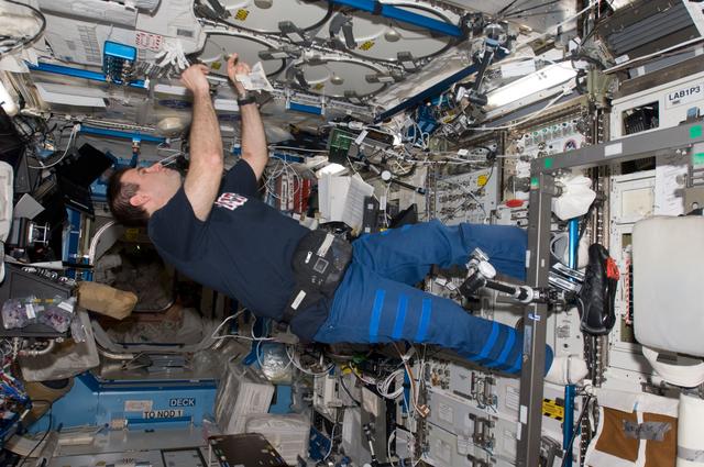 NASA image: Chamitoff works with the MELFI in the U.S. Laboratory during Expedition 17