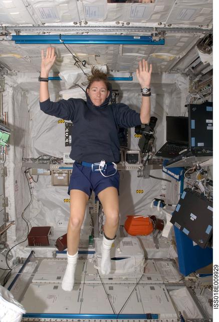 NASA image: Magnus at Laptop in European Lab Columbus