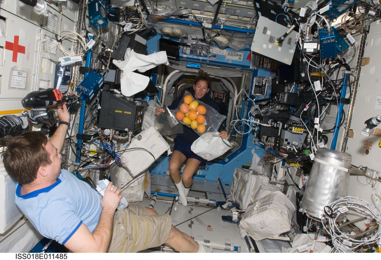 ISS018-E-011485 (1 Dec. 2008) --- Astronaut Sandra Magnus and cosmonaut Yury Lonchakov, both Expedition 18 flight engineers, are pictured in the Destiny laboratory of the International Space Station. A bag of fresh fruit floats freely near Magnus.