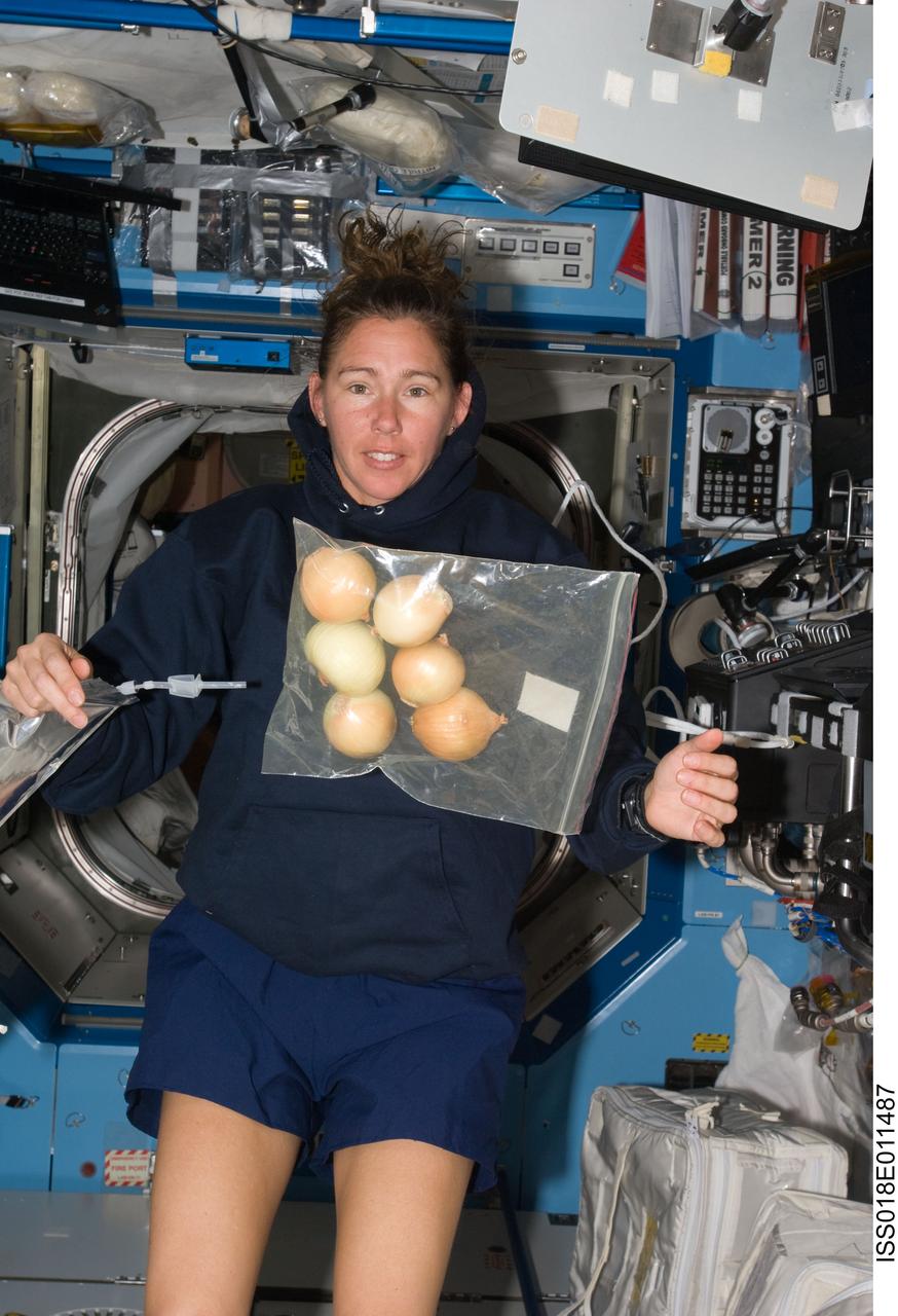 ISS018-E-011487 (1 Dec. 2008) --- Astronaut Sandra Magnus, Expedition 18 flight engineer, is pictured near a bag of fresh onions floating freely in the Destiny laboratory of the International Space Station.