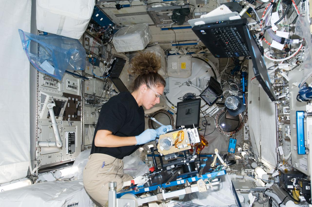 ISS018-E-012265 (13 Dec. 2008) --- Astronaut Sandra Magnus, Expedition 18 flight engineer, works on experiment hardware in the Kibo laboratory of the International Space Station.