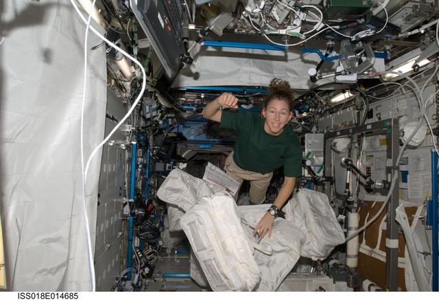 NASA image: ISS Expedition 18 Magnus in US Laboratory Destiny