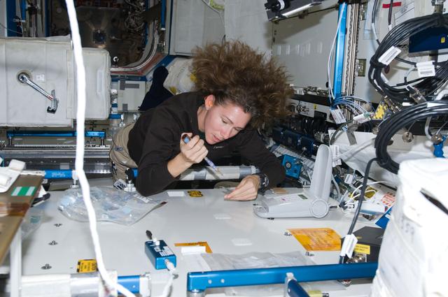 NASA image: ISS Expedition 18 Lab-On-a-Chip Applications Development (LOCAD) OPS