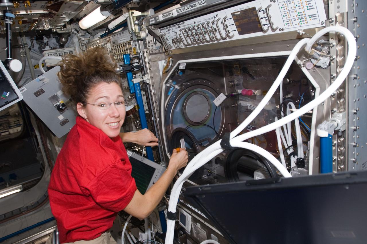 ISS018-E-024515 (30 Jan. 2009) --- Astronaut Sandra Magnus, Expedition 18 flight engineer, works with the Microgravity Science Glovebox (MSG) in the Columbus laboratory of the International Space Station.