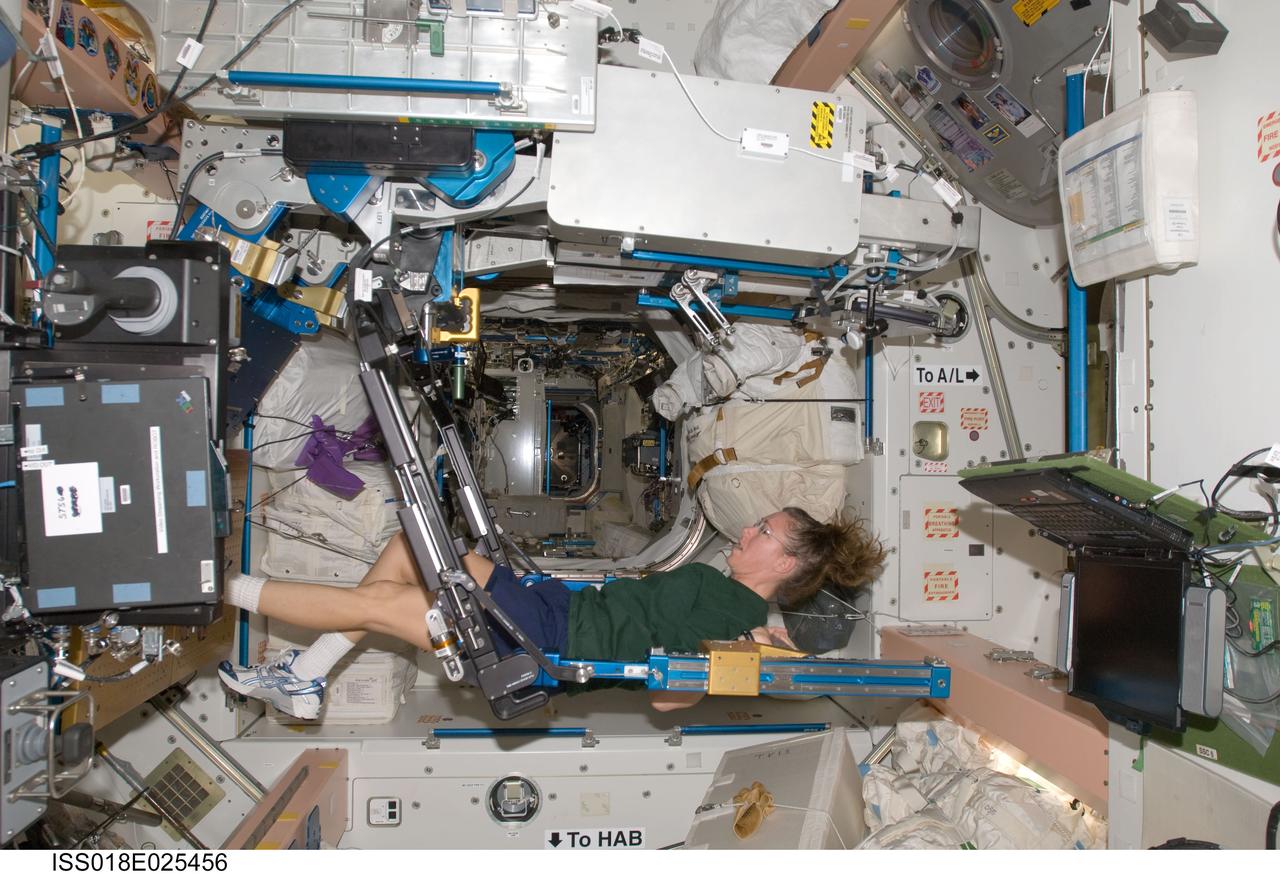 ISS018-E-025456 (1 Feb. 2009) --- Astronaut Sandra Magnus, Expedition 18 flight engineer, exercises on the advanced Resistive Exercise Device (aRED) in the Unity node of the International Space Station.