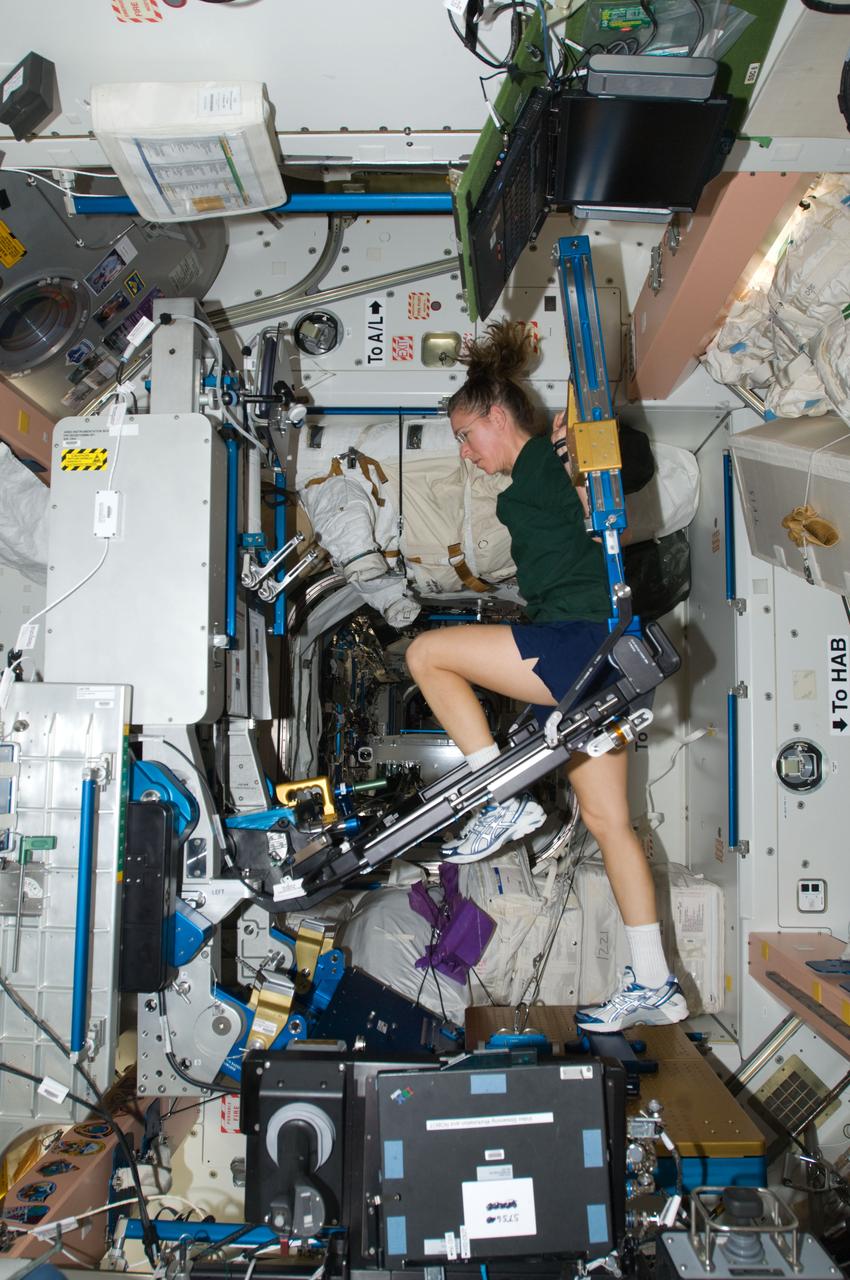 ISS018-E-025461 (1 Feb. 2009) --- Astronaut Sandra Magnus, Expedition 18 flight engineer, exercises on the advanced Resistive Exercise Device (aRED) in the Unity node of the International Space Station.