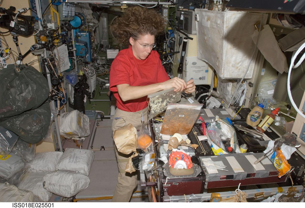 ISS018-E-025501 (1 Feb. 2009) --- Astronaut Sandra Magnus, Expedition 18 flight engineer, prepares to eat a meal at the galley in the Zvezda Service Module of the International Space Station.