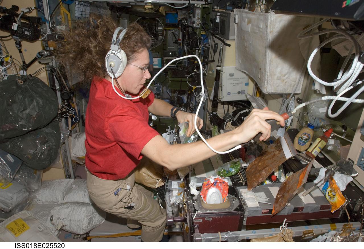 ISS018-E-025520 (1 Feb. 2009) --- Astronaut Sandra Magnus, Expedition 18 flight engineer, uses a communication system while preparing to eat a meal at the galley in the Zvezda Service Module of the International Space Station.