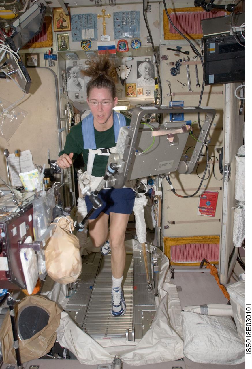ISS018-E-030101 (12 Feb. 2009) --- Astronaut Sandra Magnus, Expedition 18 flight engineer, equipped with a bungee harness, exercises on the Treadmill Vibration Isolation System (TVIS) in the Zvezda Service Module of the International Space Station.