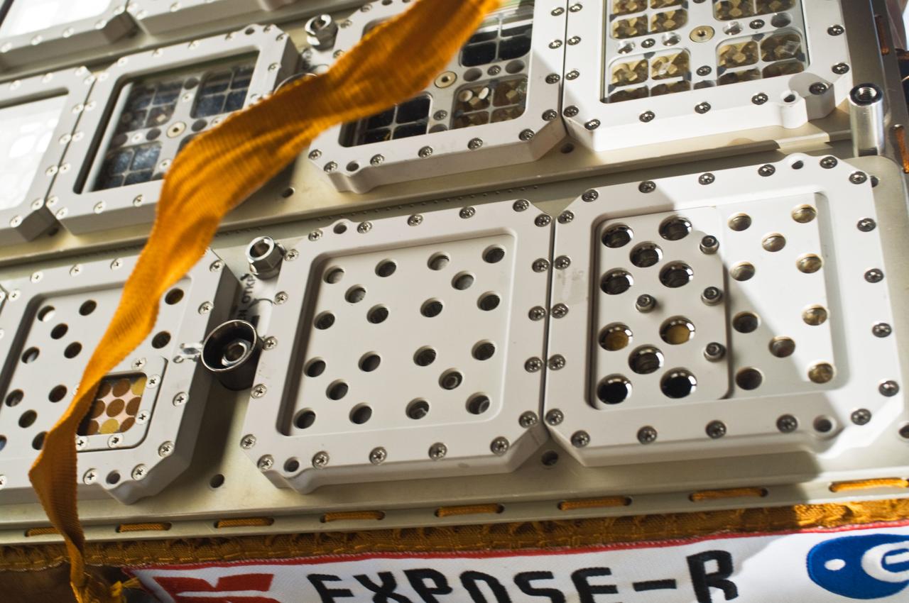 ISS018-E-039227 (10 March 2009) --- One of  two Expedition 18 spacewalkers on March 10 provided this close-up image of the Expose-R experiment, reinstalled a short while earlier on the outside of the Russian segment of the International Space Station. The European experiment is equipped with three trays which contain a variety of biological samples.