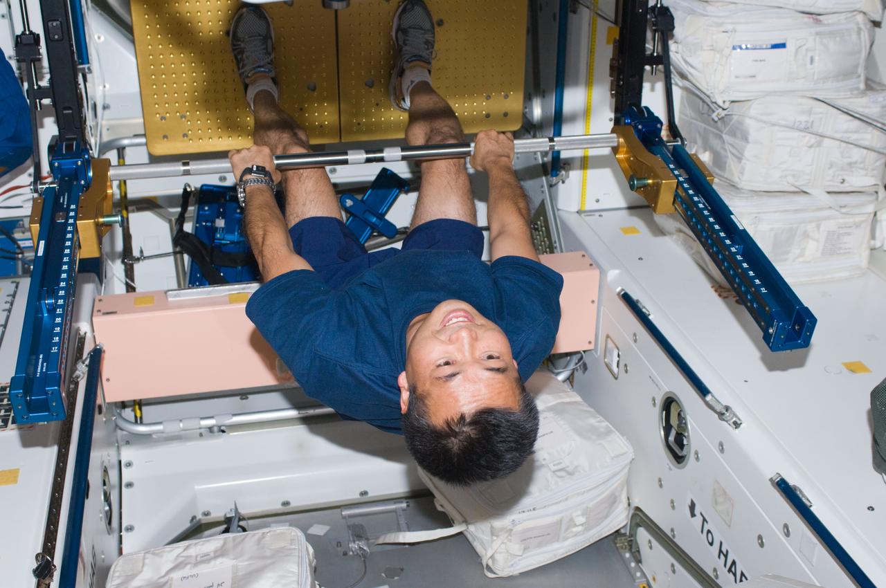 ISS018-E-042651 (22 March 2009) --- Japan Aerospace Exploration Agency (JAXA) astronaut Koichi Wakata, Expedition 18 flight engineer, uses the short bar for the advanced Resistive Exercise Device (aRED) equipment to perform upper body strengthening pull-ups in the Unity node of the International Space Station while Space Shuttle Discovery (STS-119) remains docked with the station.