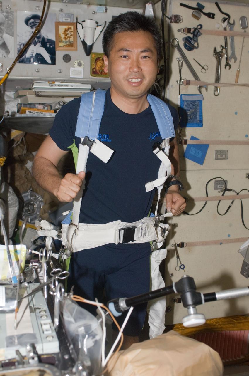 ISS018-E-042662 (22 March 2009) --- Japan Aerospace Exploration Agency (JAXA) astronaut Koichi Wakata, Expedition 18 flight engineer, equipped with a bungee harness, exercises on the Treadmill Vibration Isolation System (TVIS) in the Zvezda Service Module of the International Space Station while Space Shuttle Discovery (STS-119) remains docked with the station.