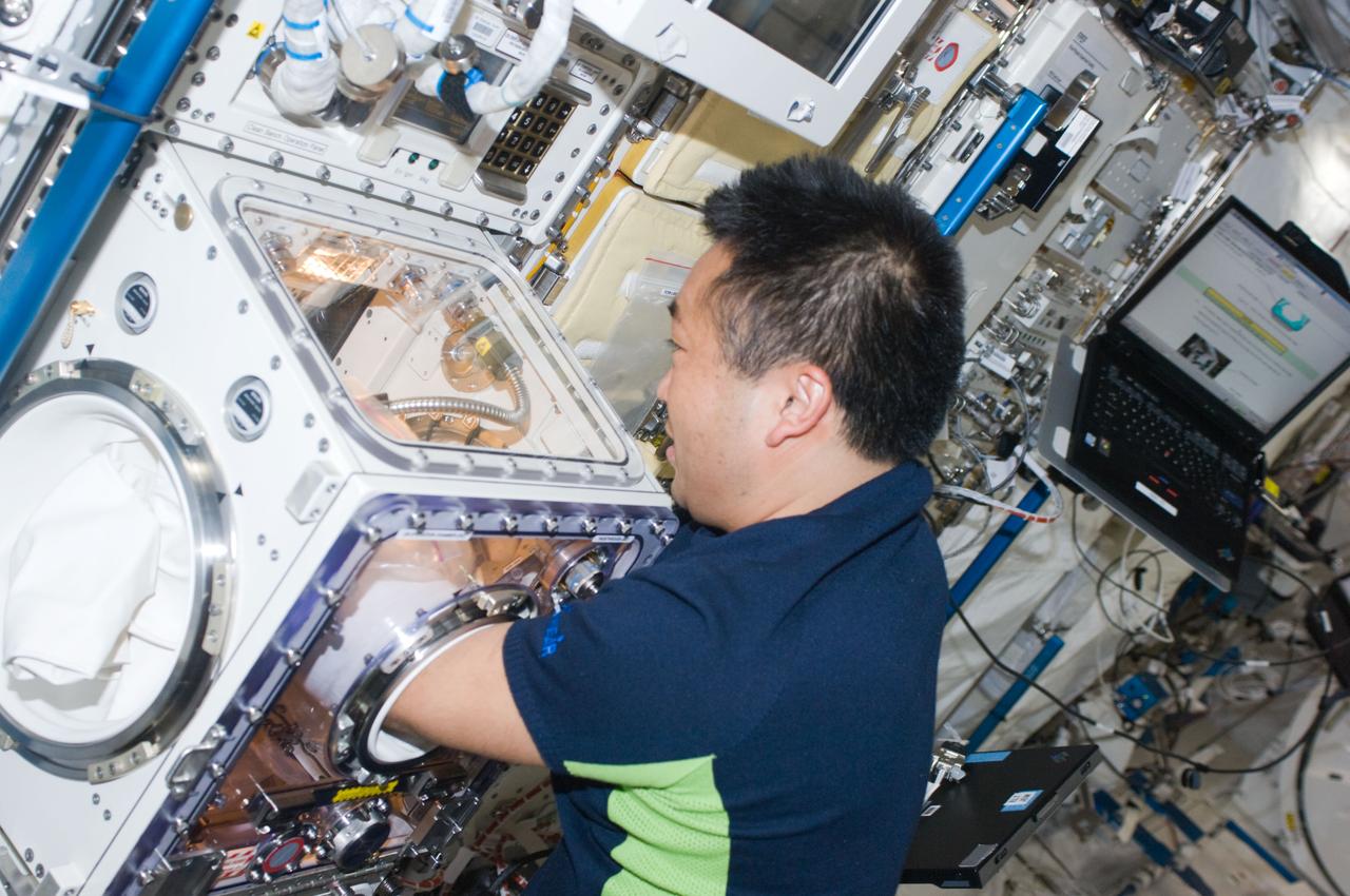 ISS018-E-044268 (28 March 2009) --- Japan Aerospace Exploration Agency (JAXA) astronaut Koichi Wakata, Expedition 18/19 flight engineer, works on an experiment at the Saibo biological experiment rack in the Kibo laboratory of the International Space Station.