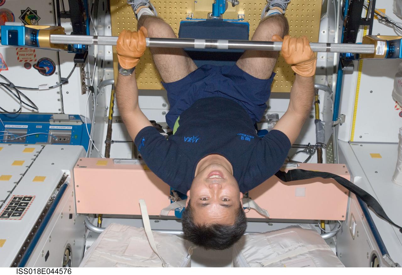ISS018-E-044576 (4 April 2009) --- Japan Aerospace Exploration Agency (JAXA) astronaut Koichi Wakata, Expedition 18/19 flight engineer, exercises using the advanced Resistive Exercise Device (aRED) in the Unity node of the International Space Station.