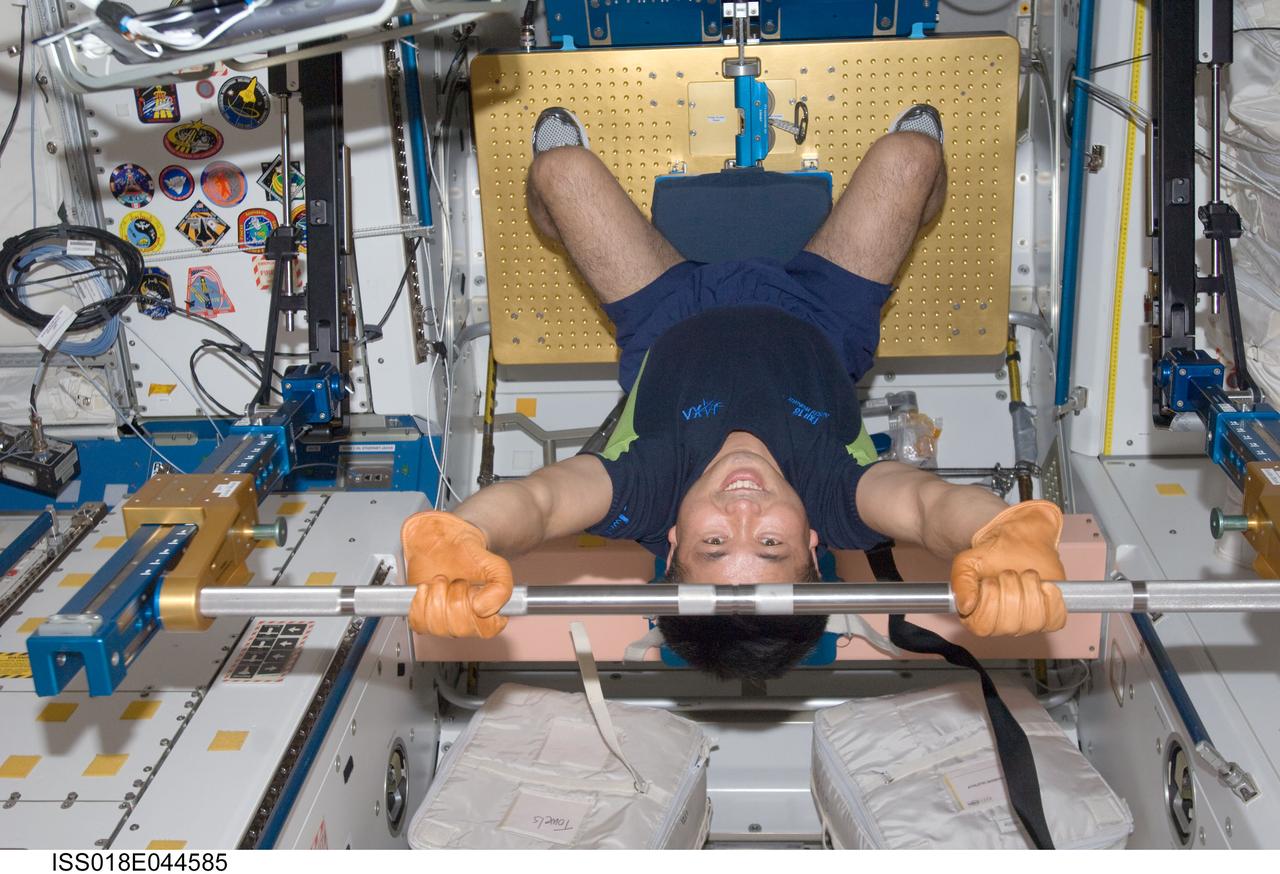 ISS018-E-044585 (4 April 2009) --- Japan Aerospace Exploration Agency (JAXA) astronaut Koichi Wakata, Expedition 18/19 flight engineer, exercises using the advanced Resistive Exercise Device (aRED) in the Unity node of the International Space Station.