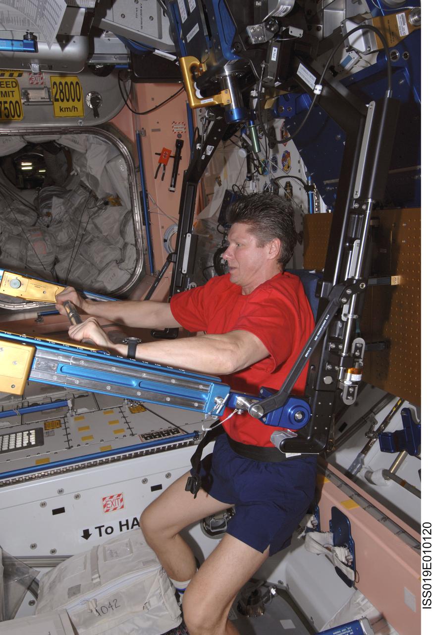 ISS019-E-010120 (26 April 2009) --- Cosmonaut Gennady Padalka, Expedition 19/20 commander, exercises using the advanced Resistive Exercise Device (aRED) in the Unity node of the International Space Station.