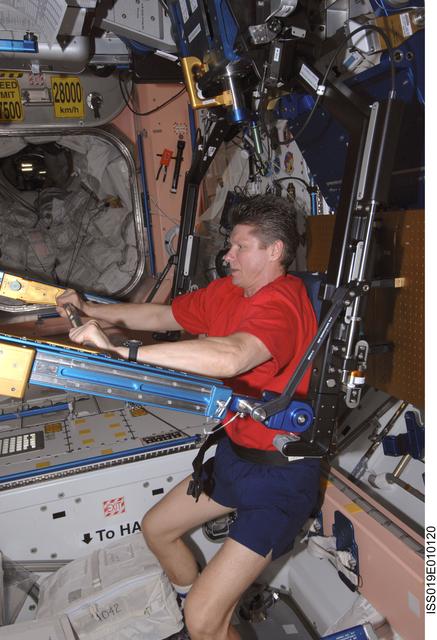 NASA image: Padalka exercises with ARED in Node 1