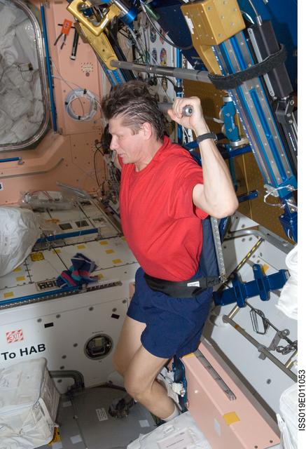 NASA image: Padalka exercises with ARED