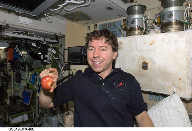 NASA image: Barratt during 33P Progress unpacking