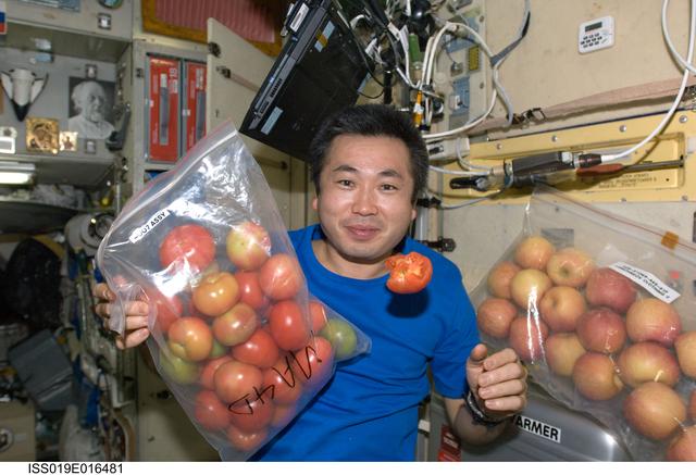 NASA image: Wakata during 33P Progress unpacking