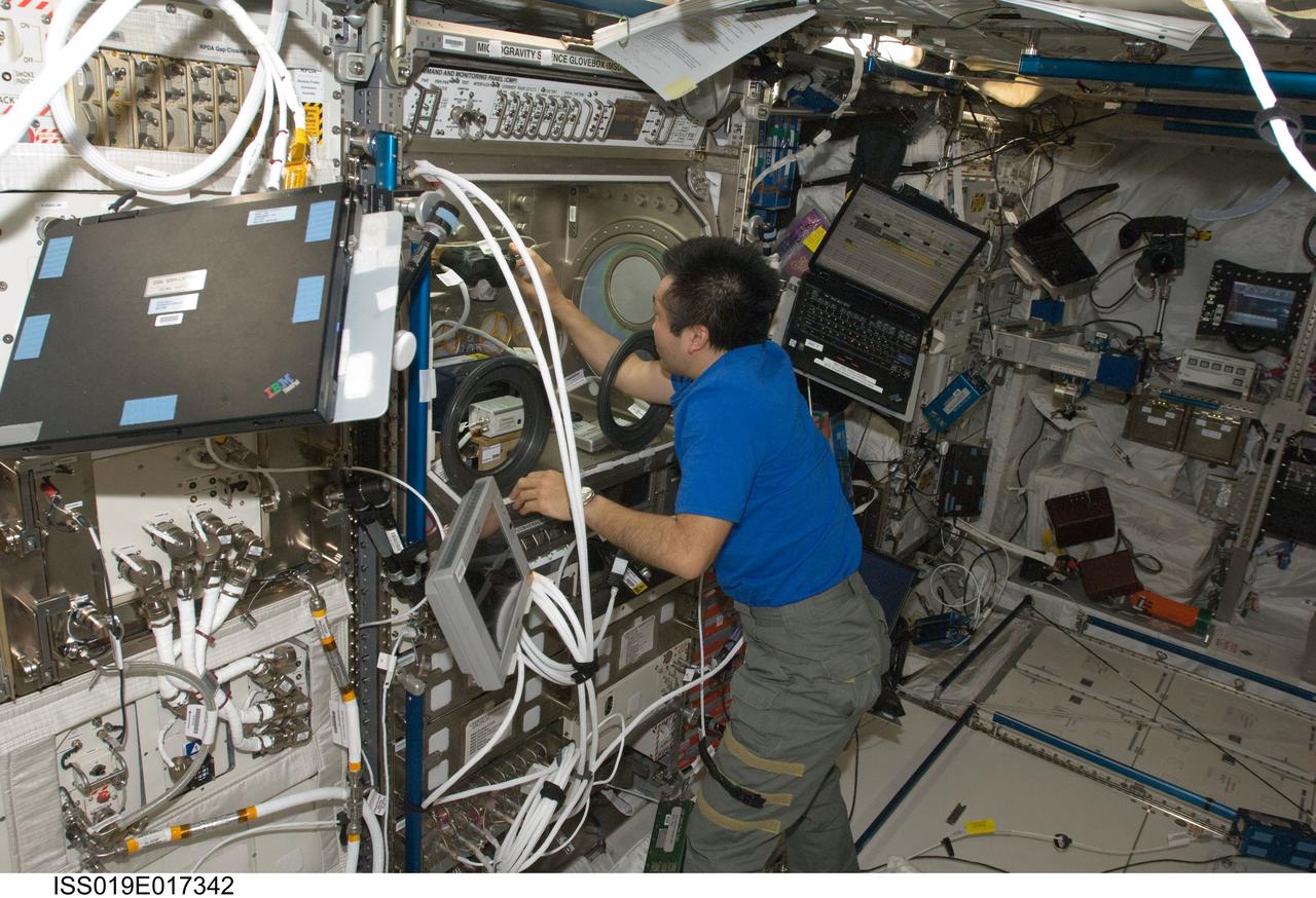 ISS019-E-017342 (16 May 2009) --- Japan Aerospace Exploration Agency (JAXA) astronaut Koichi Wakata, Expedition 19/20 flight engineer, works with the Microgravity Science Glovebox (MSG) in the Columbus laboratory of the International Space Station.