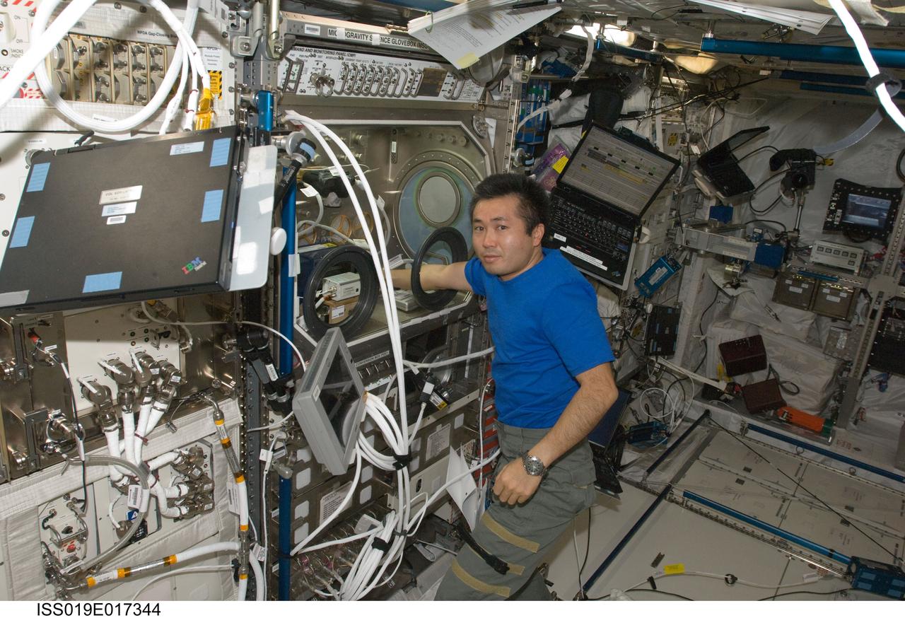 ISS019-E-017344 (16 May 2009) --- Japan Aerospace Exploration Agency (JAXA) astronaut Koichi Wakata, Expedition 19/20 flight engineer, works with the Microgravity Science Glovebox (MSG) in the Columbus laboratory of the International Space Station.