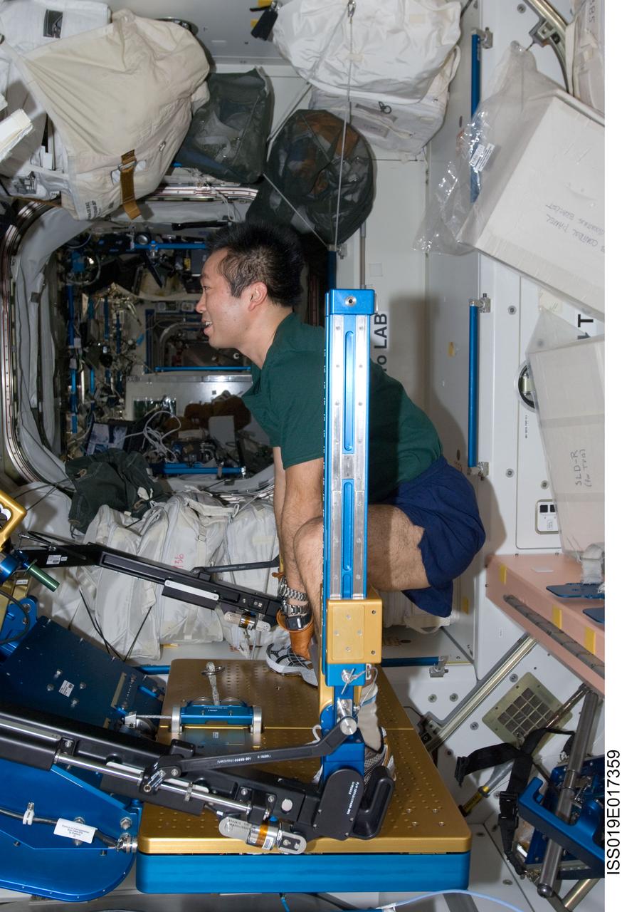 ISS019-E-017359 (17 May 2009) --- Japan Aerospace Exploration Agency (JAXA) astronaut Koichi Wakata, Expedition 19/20 flight engineer, exercises using the advanced Resistive Exercise Device (aRED) in the Unity node of the International Space Station.