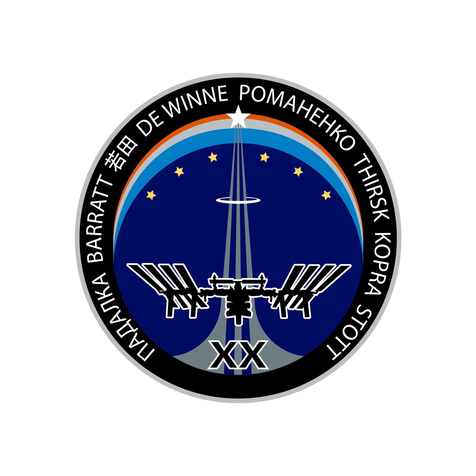 Expedition 20 Crew Insignia