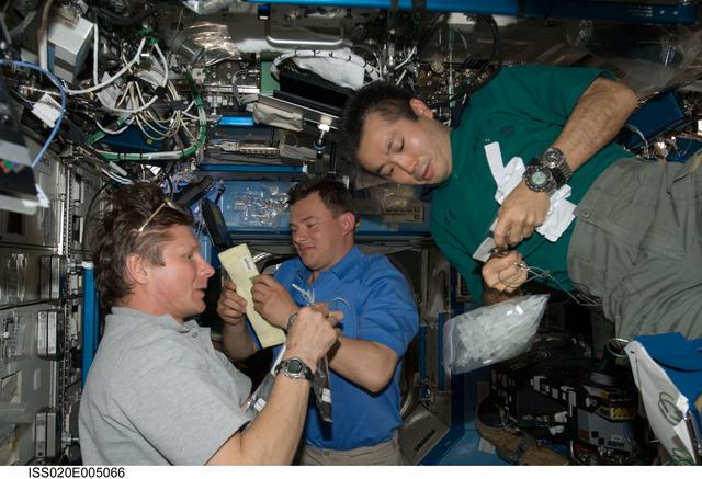 NASA image: Padalka, Romanenko and Wakata in U.S. Lab