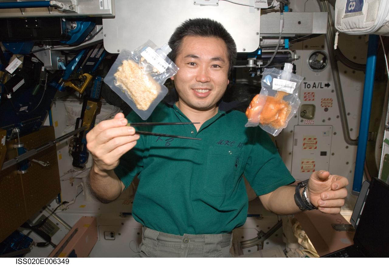ISS020-E-006349 (3 June 2009) --- Japan Aerospace Exploration Agency (JAXA) astronaut Koichi Wakata, Expedition 20 flight engineer, holds chopsticks near two food containers floating freely in Unity node of the International Space Station.