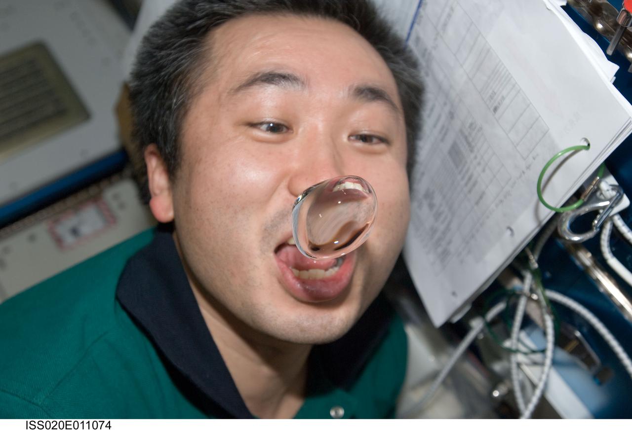 ISS020-E-011074 (16 June 2009) --- Japan Aerospace Exploration Agency (JAXA) astronaut Koichi Wakata, Expedition 20 flight engineer, attempts to catch a water bubble with his mouth in the Harmony node of the International Space Station.
