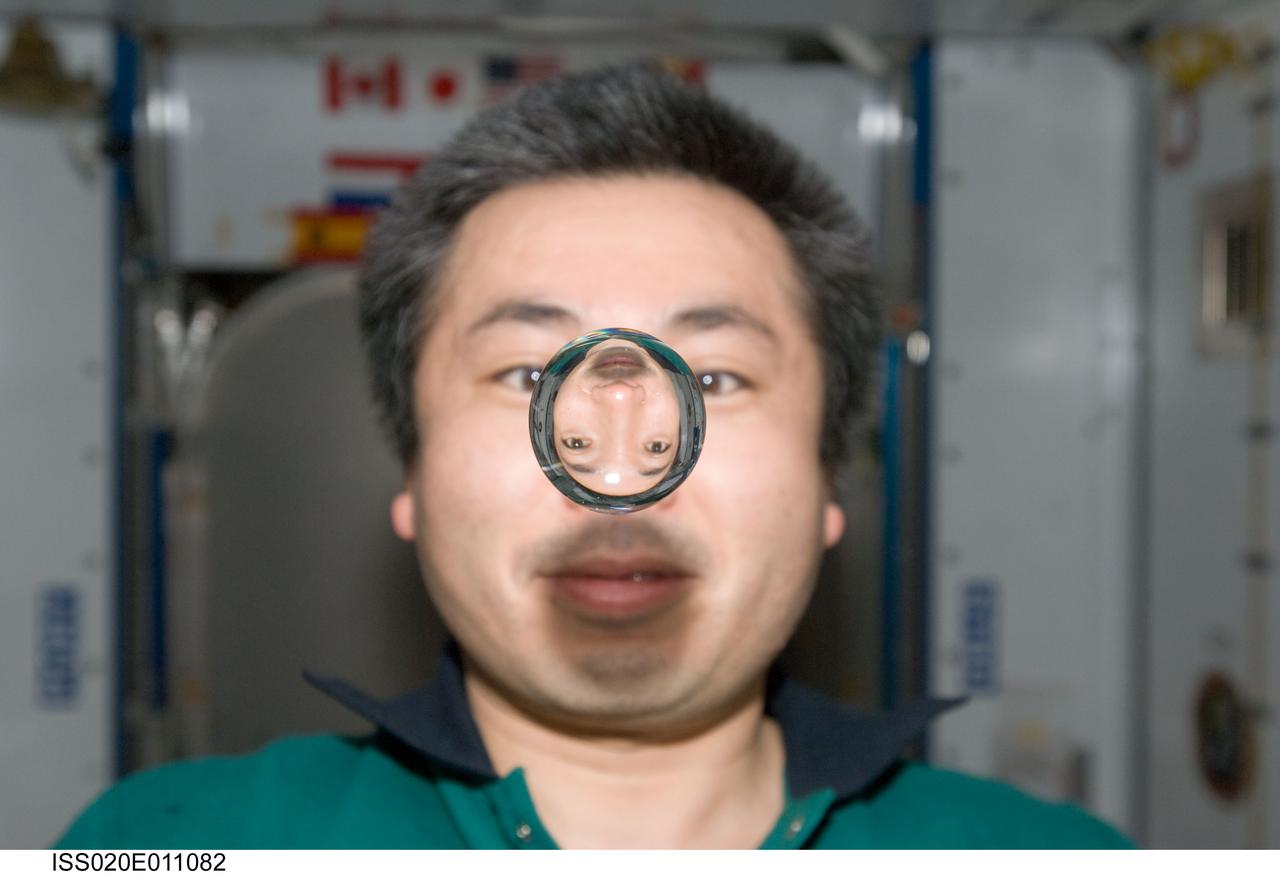 ISS020-E-011082 (16 June 2009) --- Japan Aerospace Exploration Agency (JAXA) astronaut Koichi Wakata, Expedition 20 flight engineer, watches a water bubble float freely between him and the camera, showing his image refracted, in the Harmony node of the International Space Station.