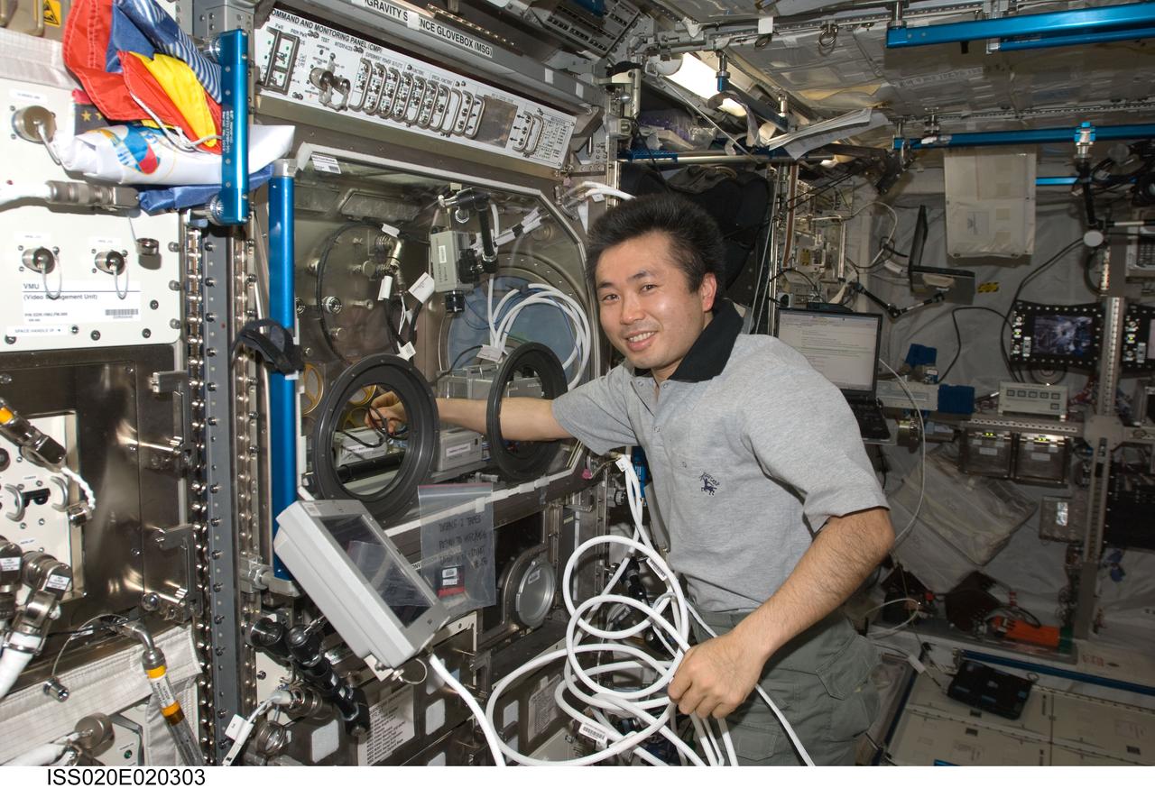 ISS020-E-020303 (14 July 2009) --- Japan Aerospace Exploration Agency (JAXA) astronaut Koichi Wakata, Expedition 20 flight engineer, works with the Investigating the Structure of Paramagnetic Aggregates from Colloidal Emulsions (InSPACE) experiment in the Microgravity Science Glovebox (MSG) in the Columbus laboratory of the International Space Station.