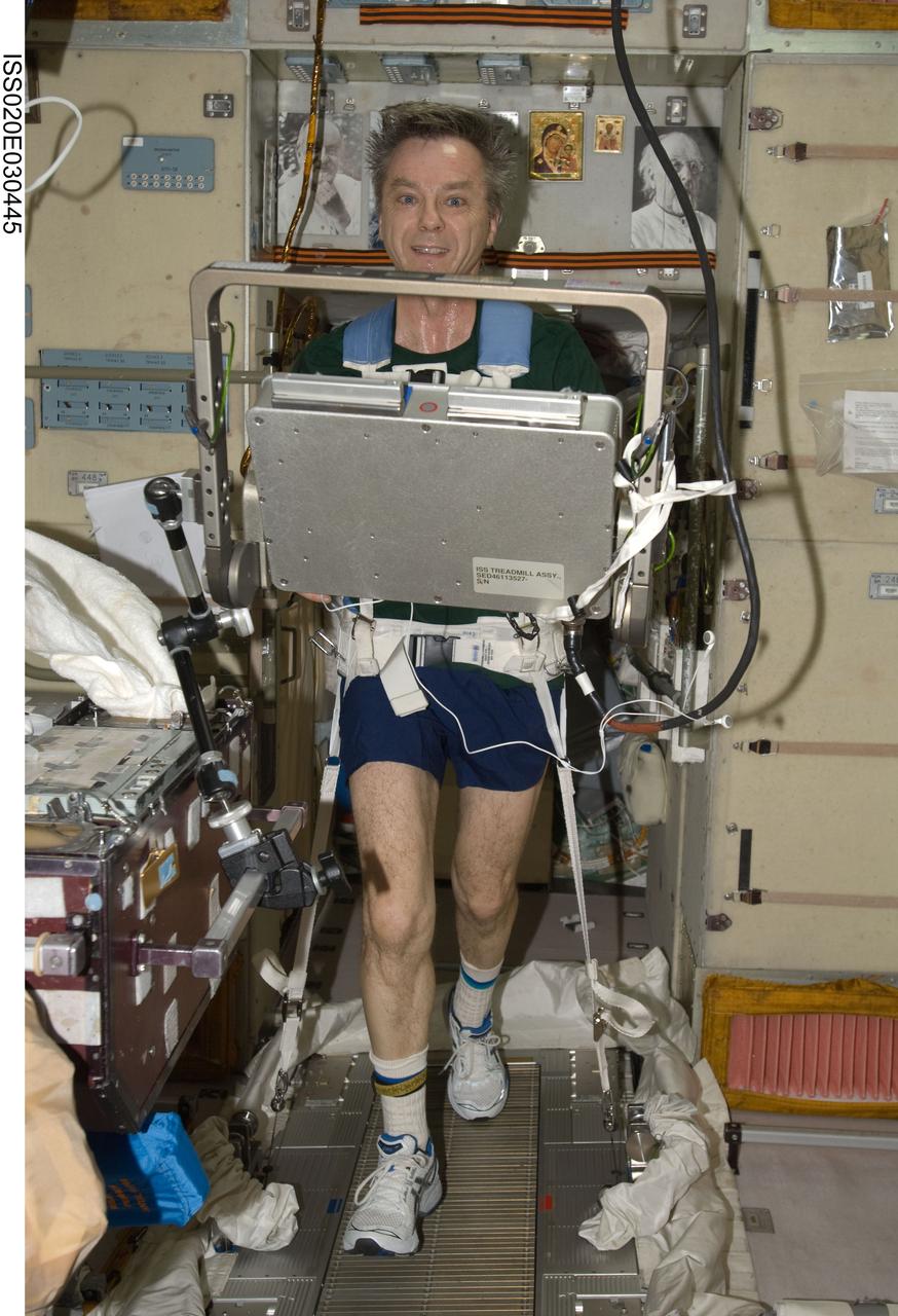 ISS020-E-030445 (13 Aug. 2009) --- Canadian Space Agency astronaut Robert Thirsk, Expedition 20 flight engineer, equipped with a bungee harness, exercises on the Treadmill Vibration Isolation System (TVIS) in the Zvezda Service Module of the International Space Station.