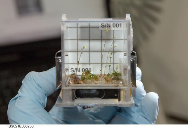 NASA image: View of CBEF Space Seed Experiment Hardware