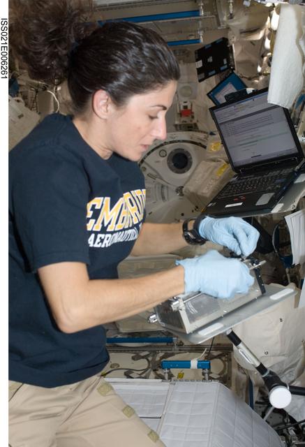 NASA image: FE-2 Nicole Stott works on the CBEF Space Seed Experiment