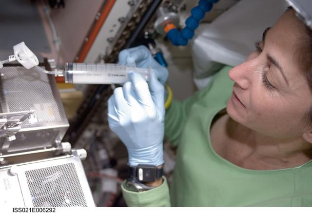 NASA image: FE-2 Nicole Stott works on the CBEF Space Seed Experiment