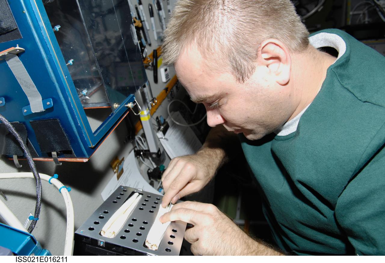 ISS021-E-016211 (29 Oct. 2009) --- Russian cosmonaut Maxim Suraev, Expedition 21 flight engineer, works with a new growth experiment on the BIO-5 Rasteniya-2 (Plants-2) payload in the Zvezda Service Module of the International Space Station.