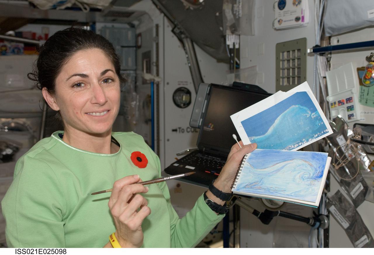 iss021e025098 (11/12/2009 --- NASA astronaut Nicole Stott poses for a photo while painting a watercolor of the Earth. The photo was taken aboard the International Space Station (ISS) in the Node 2/Harmony module.