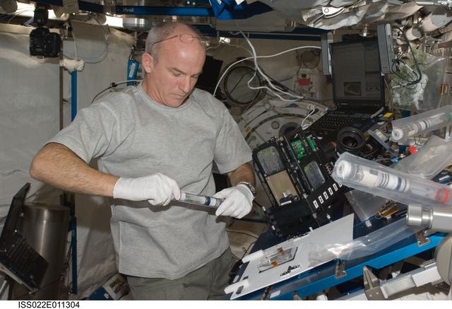 NASA image: Williams works on the payload APEX TAGES in the JPM during Expedition 22