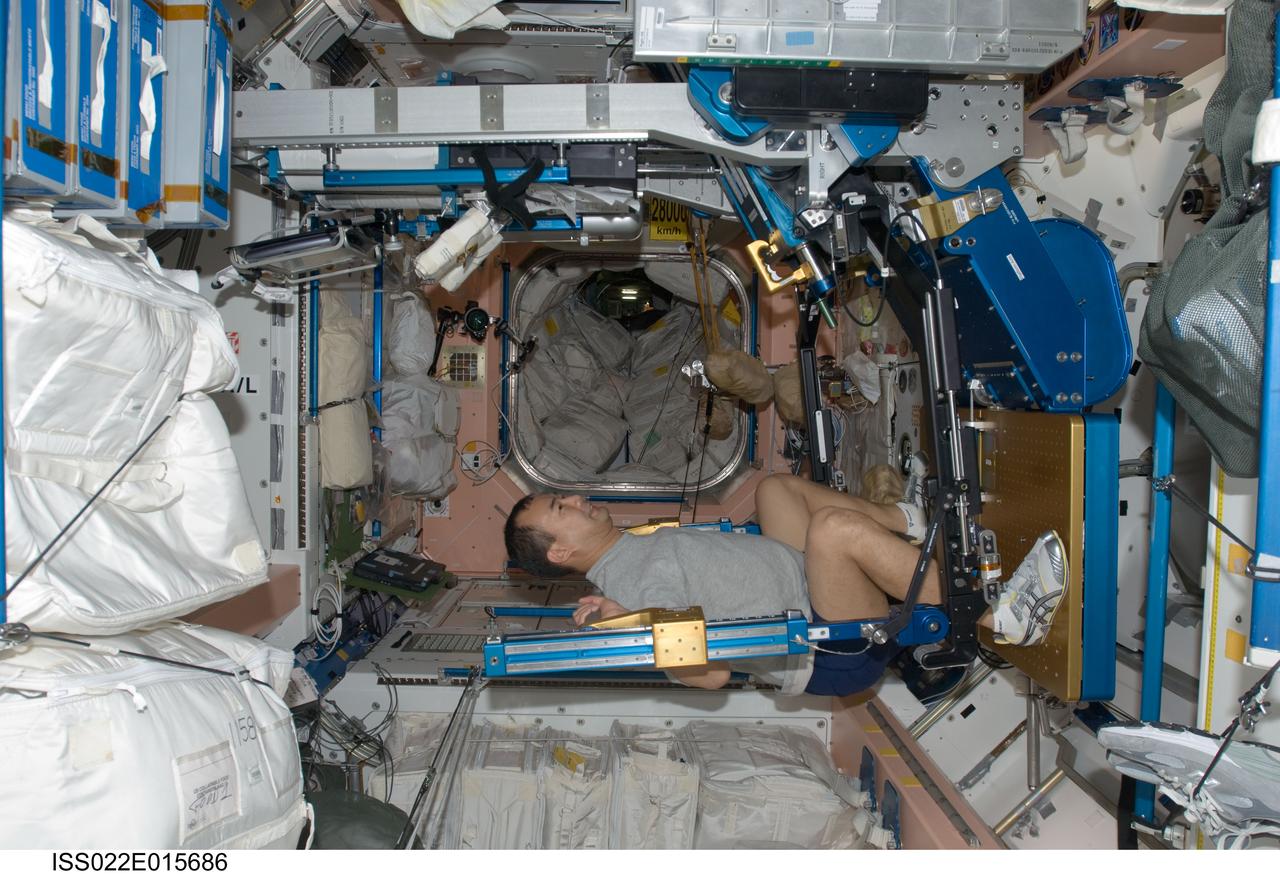 ISS022-E-015686 (28 Dec. 2009) --- Japan Aerospace Exploration Agency astronaut Soichi Noguchi, Expedition 22 flight engineer, exercises using the advanced Resistive Exercise Device (aRED) in the Unity node of the International Space Station.