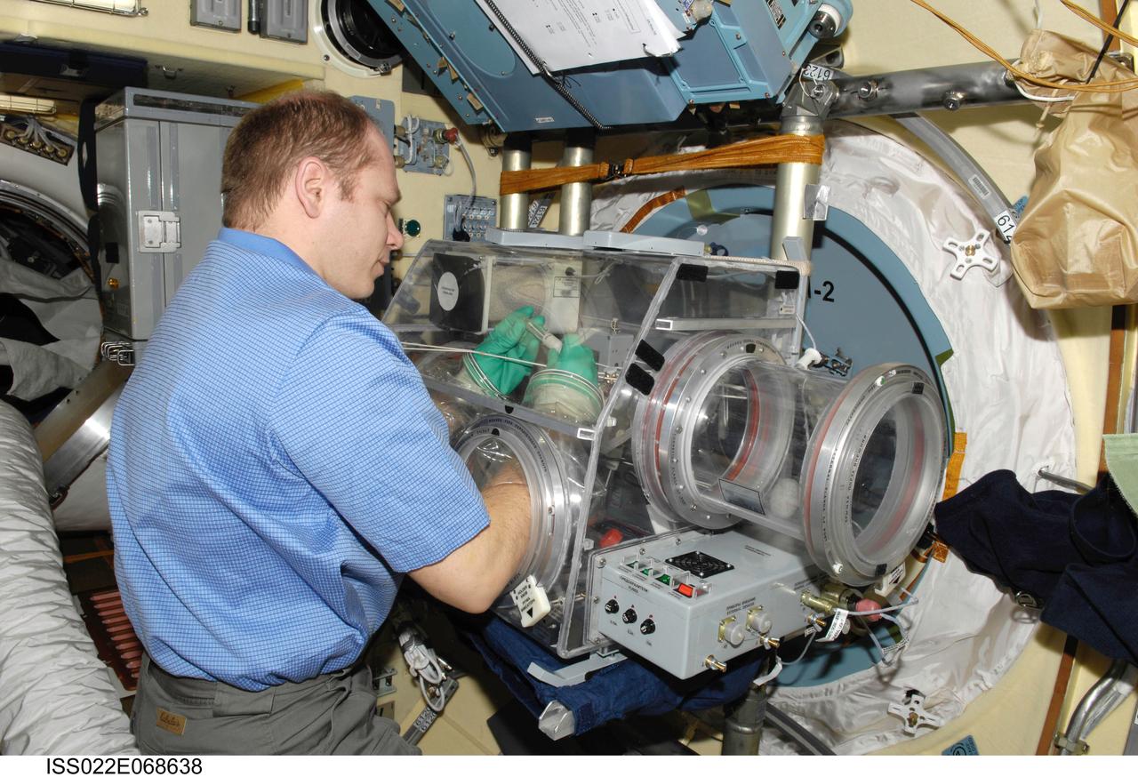 ISS022-E-068638 (18 Feb. 2010) --- Russian cosmonaut Oleg Kotov, Expedition 22 flight engineer, works with samples from the bioscience experiment ASEPTIC (BTKh-39) in the new Russian Glavboks-S (Glovebox) located in the Poisk Mini-Research Module 2 (MRM2) of the International Space Station.