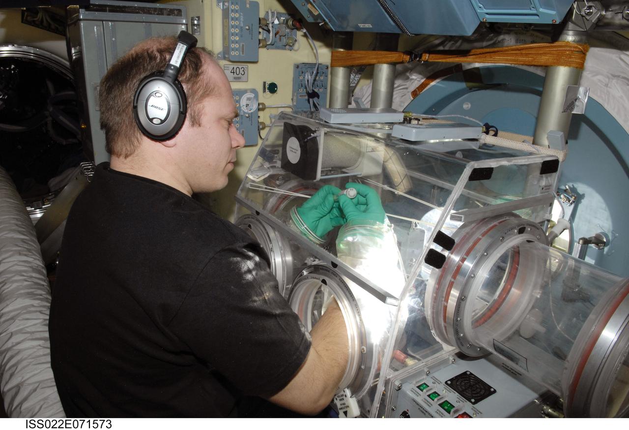 ISS022-E-071573 (24 Feb. 2010) --- Russian cosmonaut Oleg Kotov, Expedition 22 flight engineer, works with samples from the bioscience experiment ASEPTIC (BTKh-39) in the Russian Glavboks-S (Glovebox) located in the Poisk Mini-Research Module 2 (MRM2) of the International Space Station.