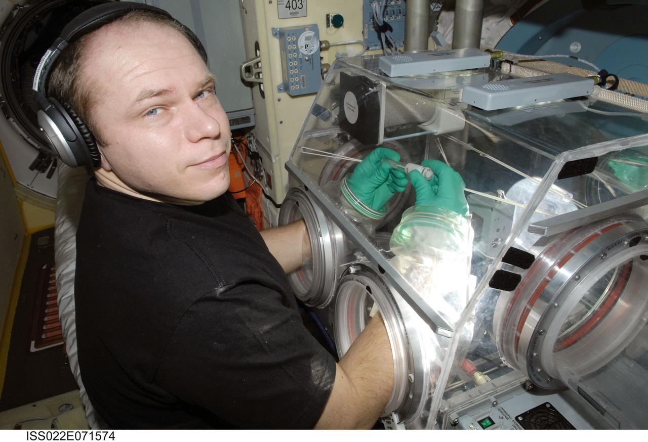 ISS022-E-071574 (24 Feb. 2010) --- Russian cosmonaut Oleg Kotov, Expedition 22 flight engineer, works with samples from the bioscience experiment ASEPTIC (BTKh-39) in the Russian Glavboks-S (Glovebox) located in the Poisk Mini-Research Module 2 (MRM2) of the International Space Station.