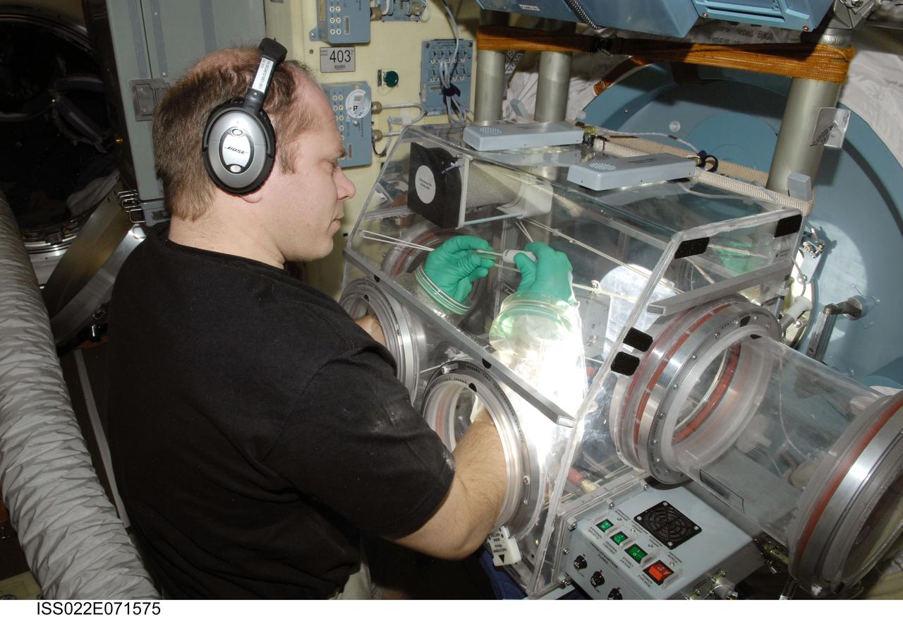 ISS022-E-071575 (24 Feb. 2010) --- Russian cosmonaut Oleg Kotov, Expedition 22 flight engineer, works with samples from the bioscience experiment ASEPTIC (BTKh-39) in the Russian Glavboks-S (Glovebox) located in the Poisk Mini-Research Module 2 (MRM2) of the International Space Station.