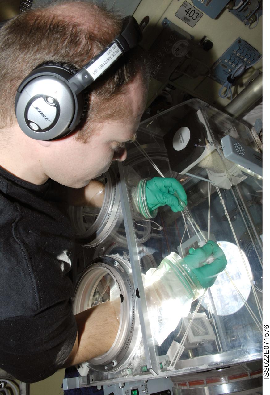 ISS022-E-071576 (24 Feb. 2010) --- Russian cosmonaut Oleg Kotov, Expedition 22 flight engineer, works with samples from the bioscience experiment ASEPTIC (BTKh-39) in the Russian Glavboks-S (Glovebox) located in the Poisk Mini-Research Module 2 (MRM2) of the International Space Station.
