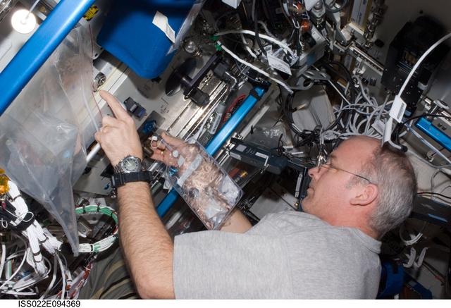 NASA image: Williams conducts SWAB Sampling during Expedition 22